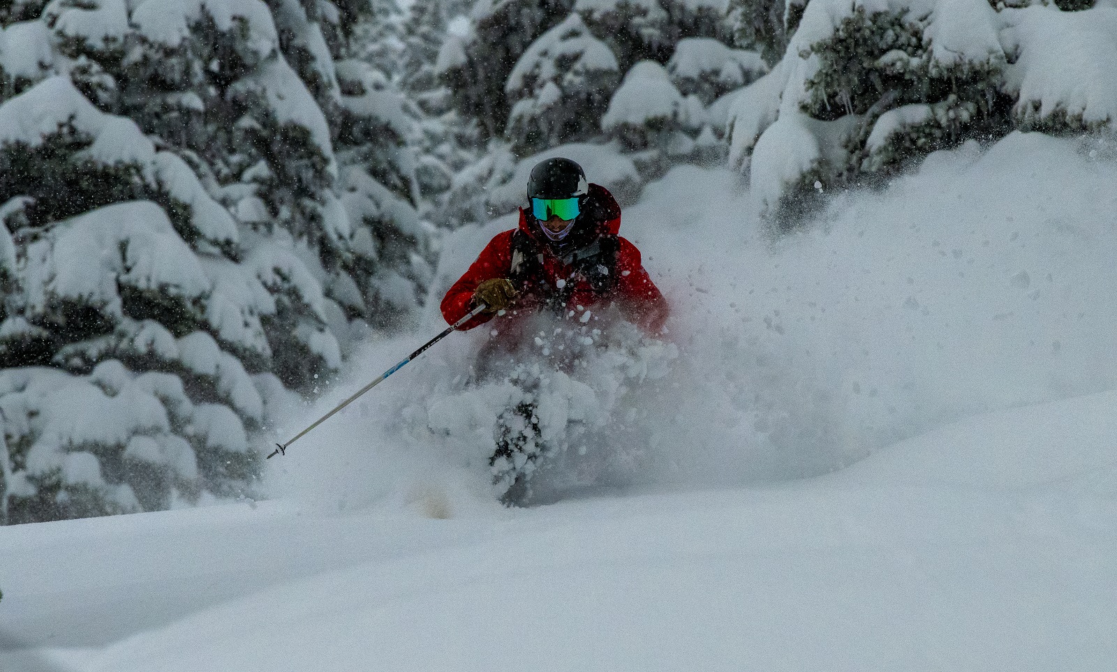 Me skiing in deep snow.